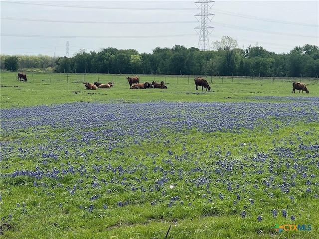 0 Old Zorn Rd, San Marcos, TX 78666