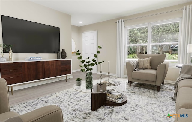 living room with light hardwood / wood-style flooring