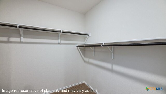 spacious closet featuring carpet floors