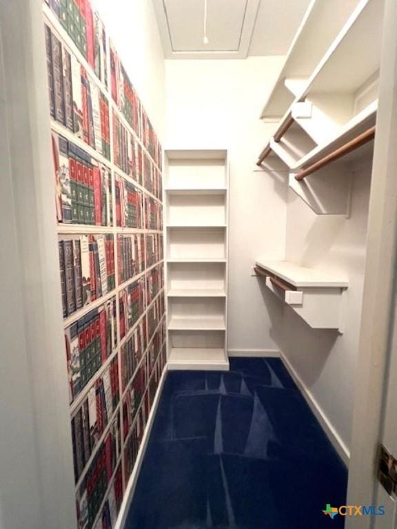 2772 Cloisters Dr, College Station, TX 77845 - spacious closet with attic access