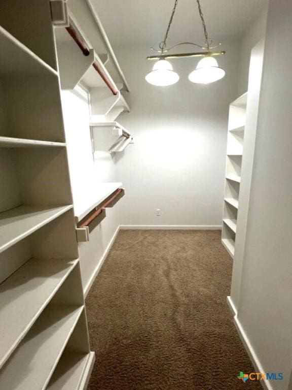 2772 Cloisters Dr, College Station, TX 77845 - walk in closet with carpet floors