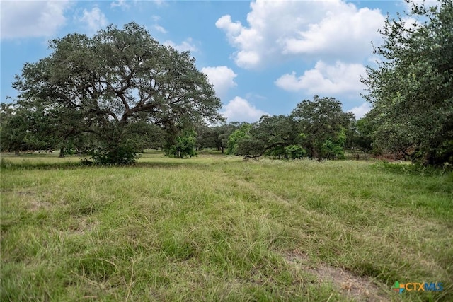 TBD Fm-530, Hallettsville, TX 77964 - photo 13