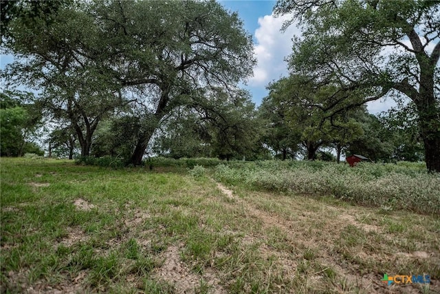 TBD Fm-530, Hallettsville, TX 77964 - photo 8