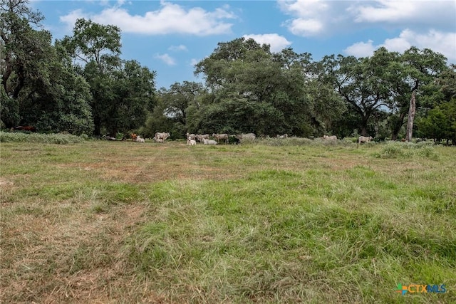 TBD Fm-530, Hallettsville, TX 77964 - photo 6