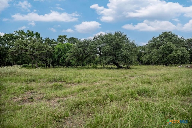 TBD Fm-530, Hallettsville, TX 77964 - photo 16