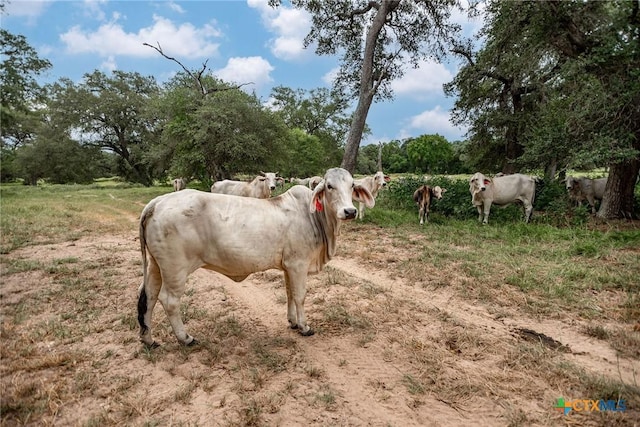 TBD Fm-530, Hallettsville, TX 77964 - photo 23