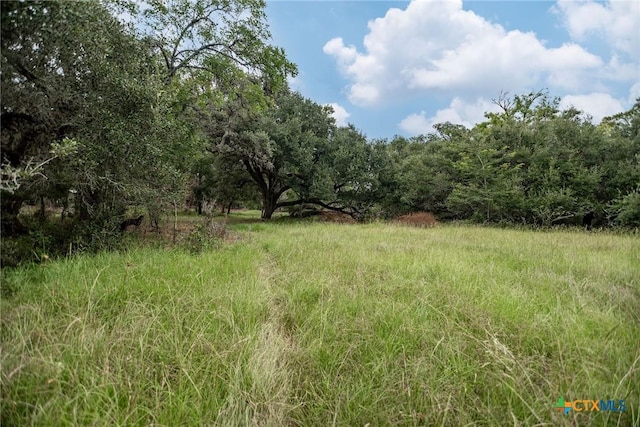 TBD Fm-530, Hallettsville, TX 77964 - photo 14