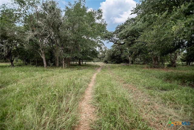 TBD Fm-530, Hallettsville, TX 77964 - photo 7