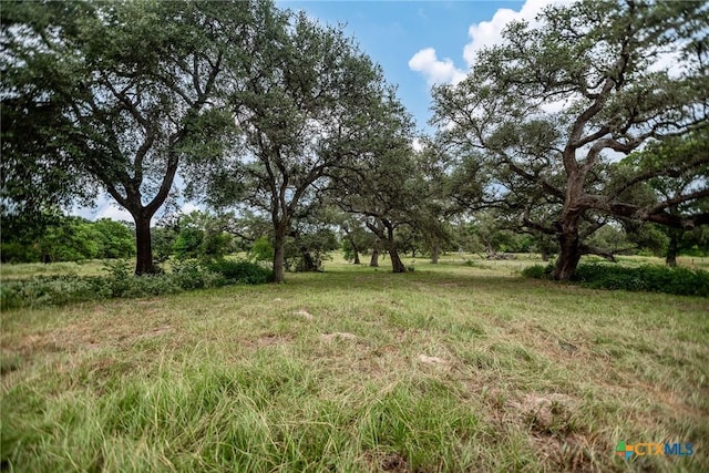 TBD Fm-530, Hallettsville, TX 77964 - photo 4