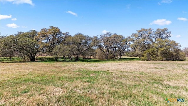 view of yard with a rural view