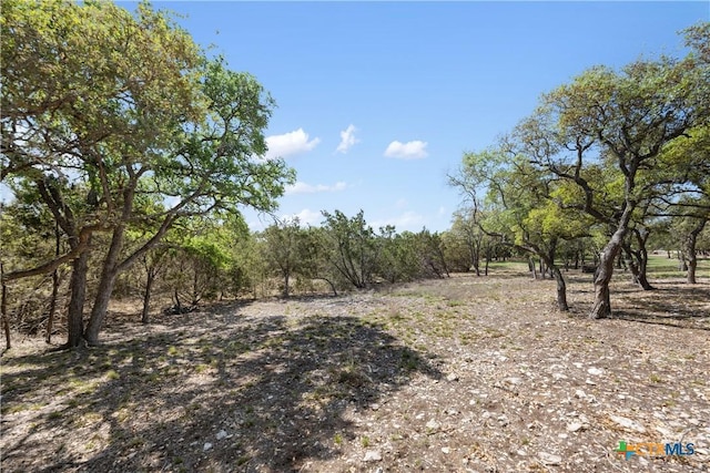 332 First Down Dash, Burnet, TX 78611