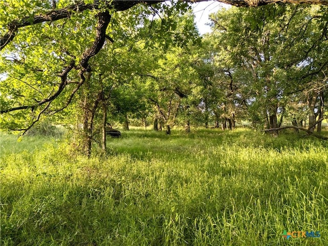 980 N League Ranch Rd, Axtell, TX 76705 - photo 21
