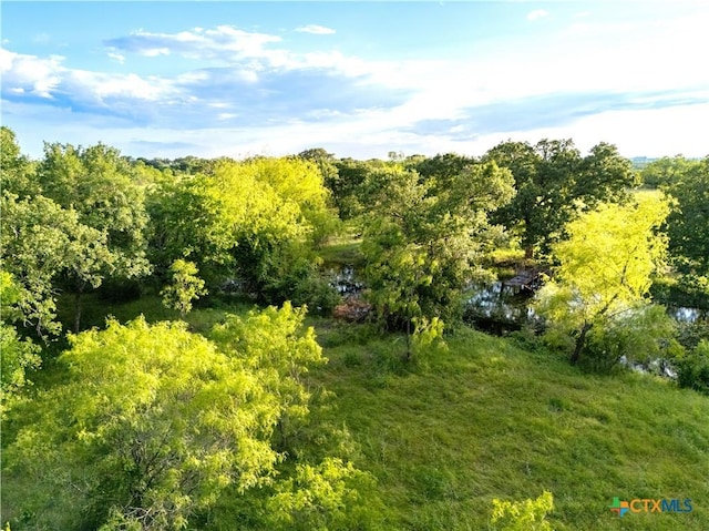 980 N League Ranch Rd, Axtell, TX 76705 - photo 19
