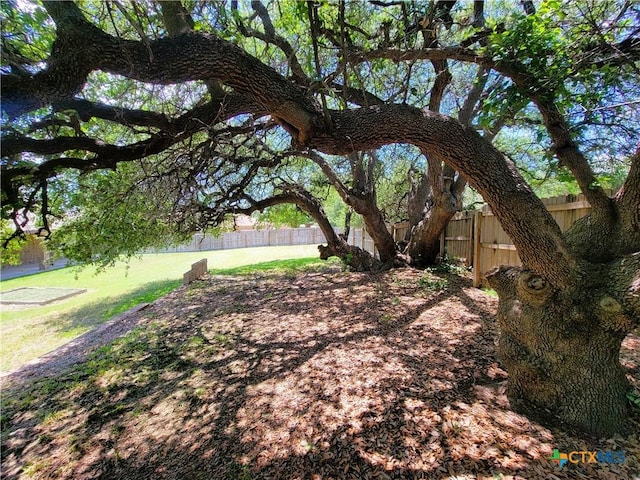 6409 Jovana Dr, Killeen, TX 76542 - view of fenced backyard