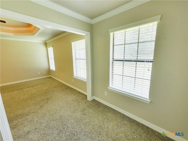 6409 Jovana Dr, Killeen, TX 76542 - spare room featuring ornamental molding, carpet floors, and a raised ceiling