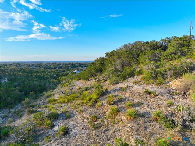 Listing photo 3 for 553 Cloud Top, Canyon Lake TX 78133