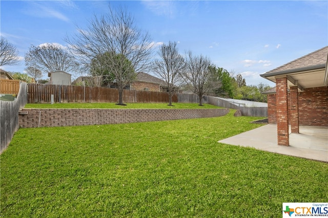 view of yard featuring a patio area