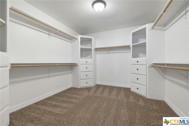 spacious closet featuring carpet