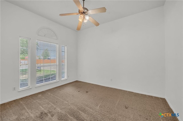 4804 Platinum Dr, Killeen, TX 76542 - photo 17