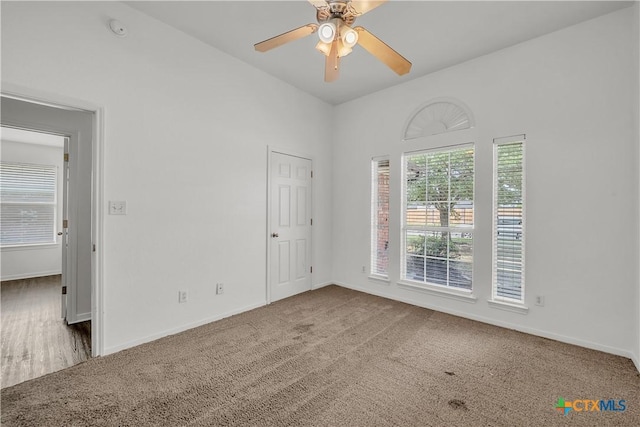 4804 Platinum Dr, Killeen, TX 76542 - photo 11