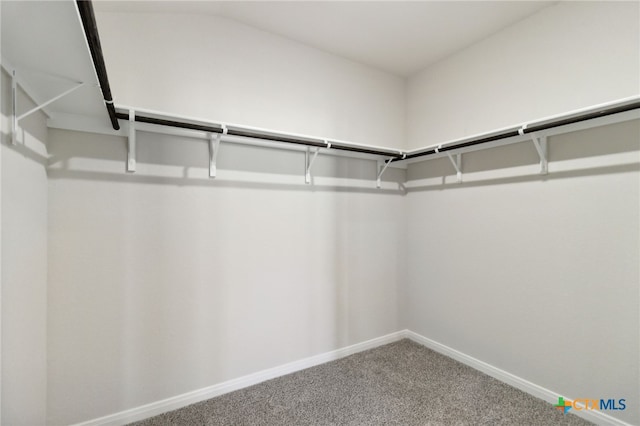 spacious closet with carpet flooring