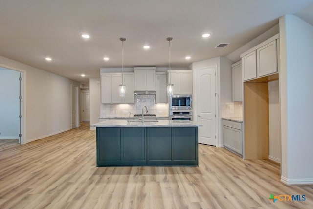 2829 Maximilian Ln, New Braunfels, TX 78130 - kitchen with stainless steel appliances, light wood-style flooring, tasteful backsplash, recessed lighting, and white cabinetry