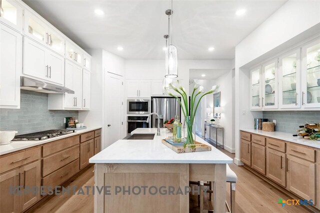 221 Dycus Bnd, Liberty Hill, TX 78642 - kitchen featuring a sink, under cabinet range hood, appliances with stainless steel finishes, decorative backsplash, and light wood finished floors
