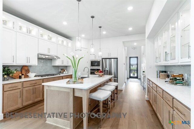 221 Dycus Bnd, Liberty Hill, TX 78642 - kitchen with stainless steel appliances, under cabinet range hood, backsplash, recessed lighting, and wood finished floors