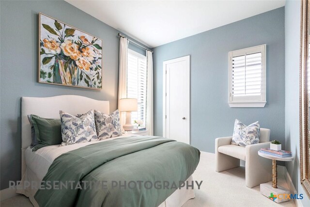 221 Dycus Bnd, Liberty Hill, TX 78642 - bedroom with carpet flooring and a closet