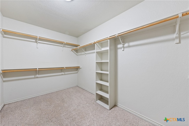 spacious closet with light colored carpet