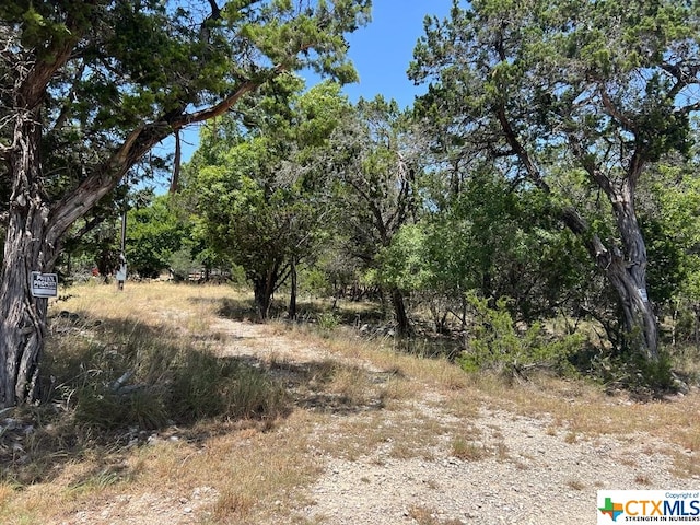 619 Cactus Flower, Canyon Lake, TX 78133