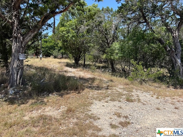 619 Cactus Flower, Canyon Lake TX, 78133 land for sale