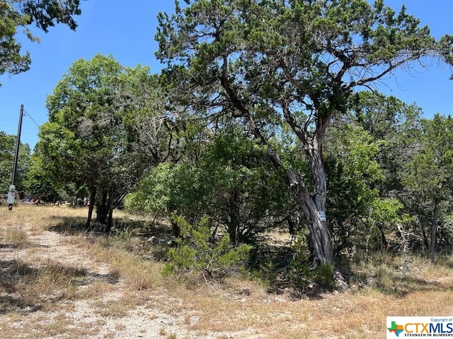 619 Cactus Flower, Canyon Lake, TX 78133