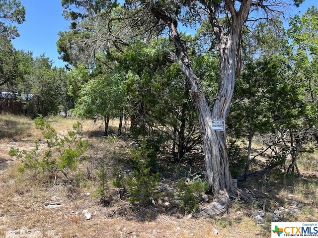 619 Cactus Flower, Canyon Lake, TX 78133