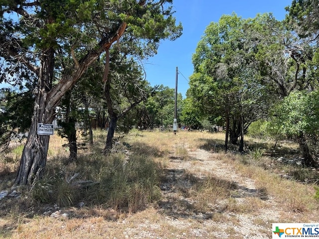 619 Cactus Flower, Canyon Lake, TX 78133