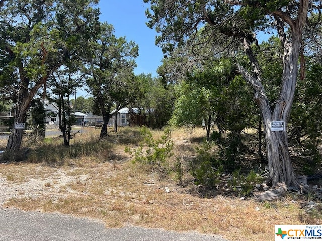 619 Cactus Flower, Canyon Lake, TX 78133