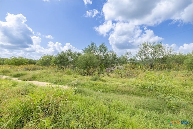 3837 Callihan Rd, Luling, TX 78648 - photo 3