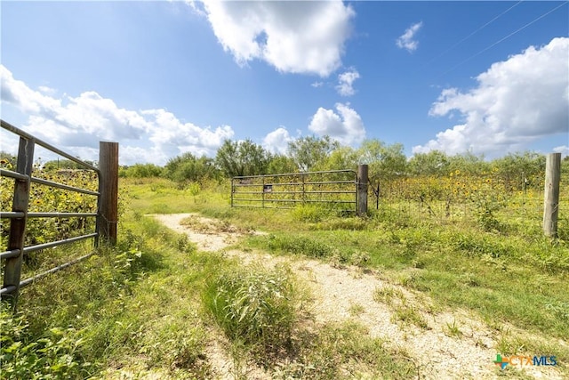 3837 Callihan Rd, Luling, TX 78648 - photo 6