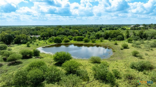 3837 Callihan Rd, Luling, TX 78648 - photo 1