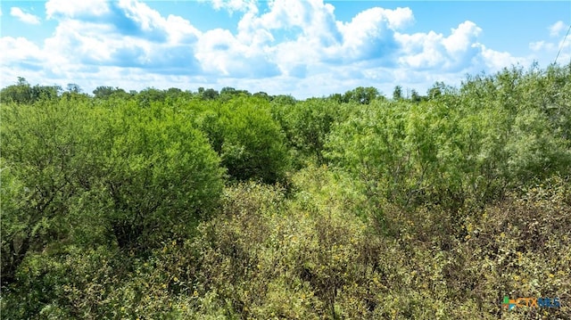 3837 Callihan Rd, Luling, TX 78648 - photo 11