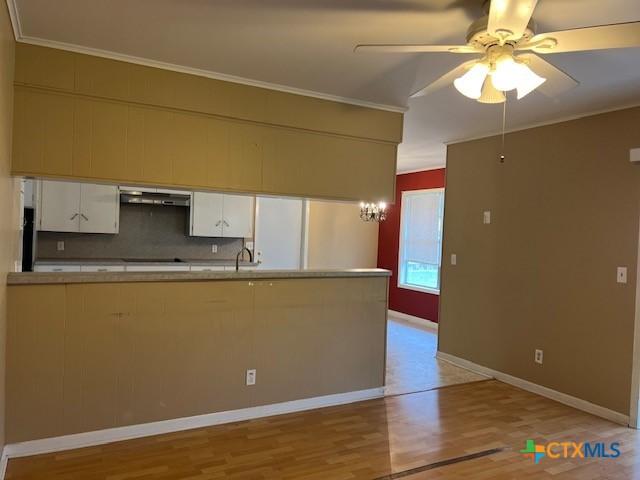 kitchen featuring a ceiling fan, crown molding, light wood finished floors, backsplash, and under cabinet range hood