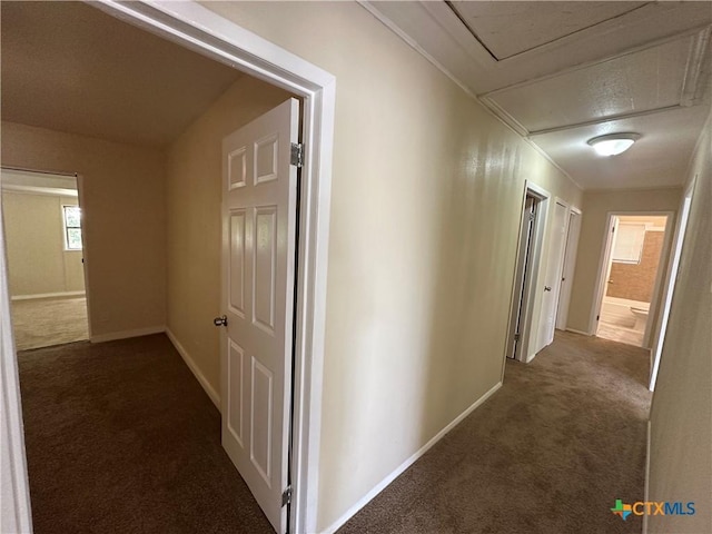 1606 Stewart St, Killeen, TX 76541 - photo 16