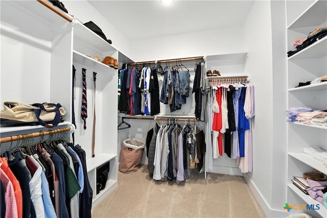 15933 Salado Dr, Temple, TX 76502 - walk in closet with carpet floors