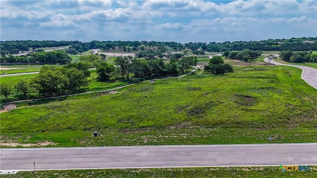 4117 Onega Trl, Belton, TX 76513 - photo 2
