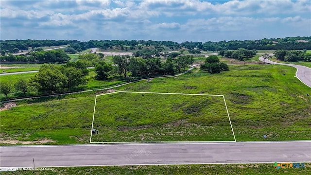 4117 Onega Trl, Belton, TX 76513 - photo 1