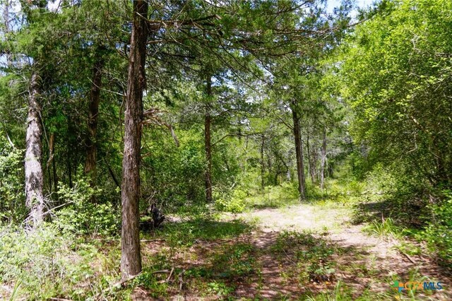 TBD Fm 3233, La Grange, TX 78945 - photo 10