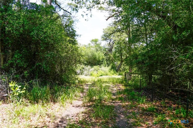 TBD Fm 3233, La Grange, TX 78945 - photo 7