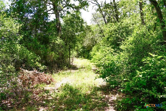 TBD Fm 3233, La Grange, TX 78945 - photo 4