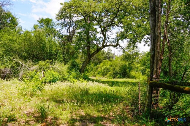 TBD Fm 3233, La Grange, TX 78945 - photo 8