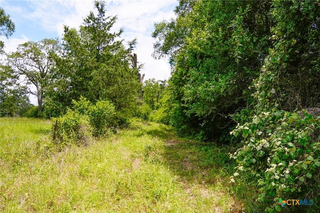 TBD Fm 3233, La Grange, TX 78945 - photo 2
